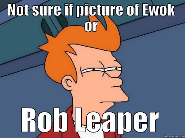 NOT SURE IF PICTURE OF EWOK OR ROB LEAPER Futurama Fry