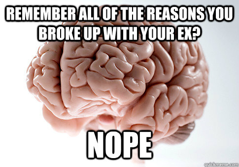 Remember all of the reasons you broke up with your ex? nope  Scumbag Brain