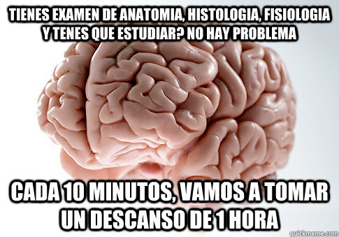 tienes examen de Anatomia, histologia, fisiologia y tenes que estudiar? no hay problema cada 10 minutos, vamos a tomar un descanso de 1 hora - tienes examen de Anatomia, histologia, fisiologia y tenes que estudiar? no hay problema cada 10 minutos, vamos a tomar un descanso de 1 hora  Scumbag Brain