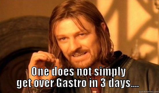  ONE DOES NOT SIMPLY GET OVER GASTRO IN 3 DAYS....  Boromir