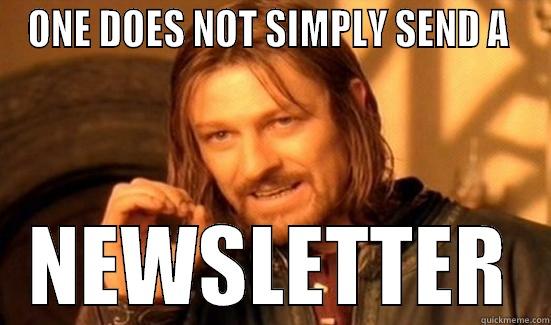 ONE DOES NOT SIMPLY SEND A  NEWSLETTER Boromir