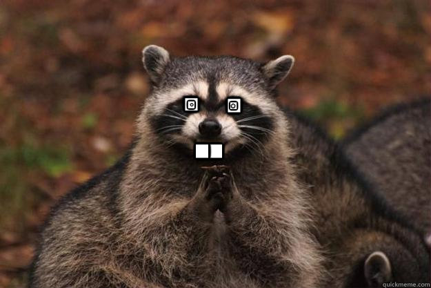 . . . . . . * *  Evil Plotting Raccoon