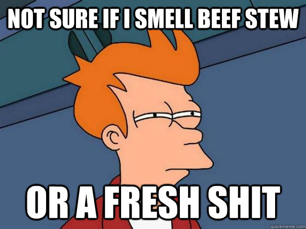 Not sure if I smell beef stew Or a fresh shit  Futurama Fry