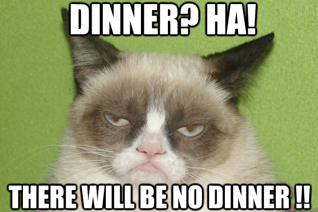 Dinner? Ha! there will be no dinner !!  