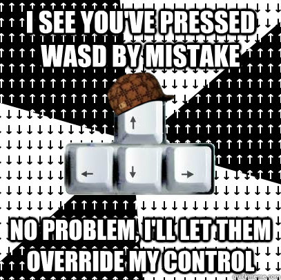 I see you've pressed wasd by mistake No problem, I'll let them override my control  Scumbag Keys