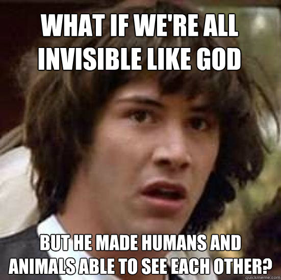 What if we're all invisible like god But he made humans and animals able to see each other?  conspiracy keanu