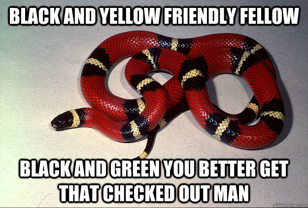 Black and yellow friendly fellow Black and green you better get that checked out man  