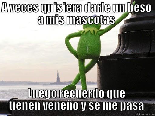 rene meme herpetologo - A VECES QUISIERA DARLE UN BESO A MIS MASCOTAS LUEGO RECUERDO QUE TIENEN VENENO Y SE ME PASA Misc