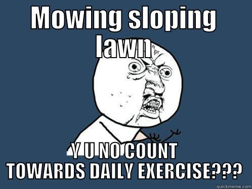 MOWING SLOPING LAWN Y U NO COUNT TOWARDS DAILY EXERCISE??? Y U No