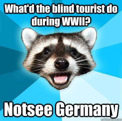 What'd the blind tourist do during WWII? Notsee Germany  Lame Pun Coon
