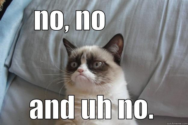 NO, NO         AND UH NO. Grumpy Cat