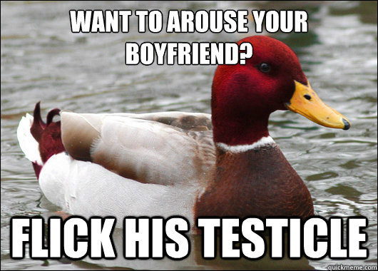 Want to arouse your boyfriend?
 flick his testicle  Malicious Advice Mallard