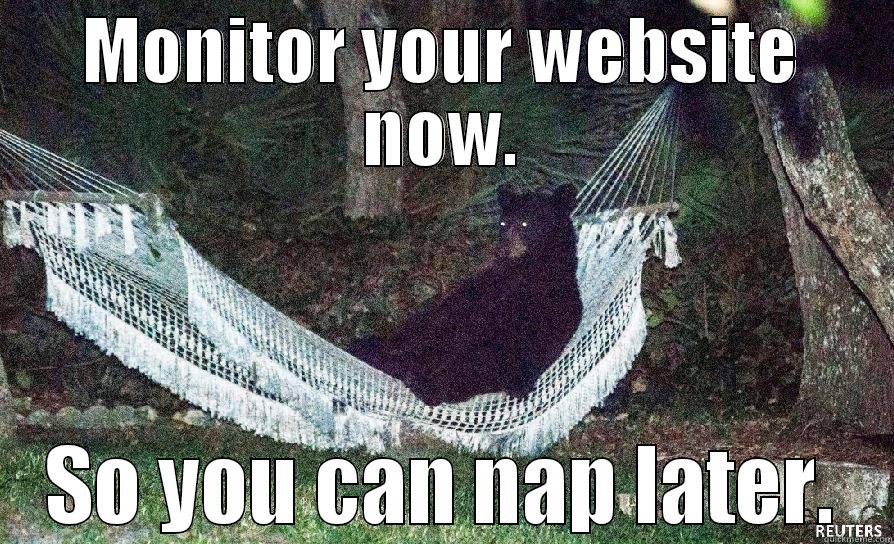 MONITOR YOUR WEBSITE NOW. SO YOU CAN NAP LATER. Misc