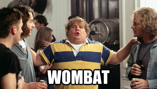  WOMBAT  