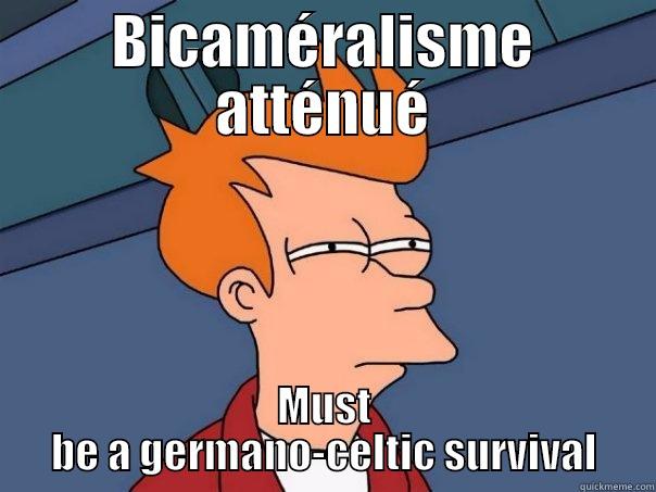BICAMÉRALISME ATTÉNUÉ MUST BE A GERMANO-CELTIC SURVIVAL Futurama Fry