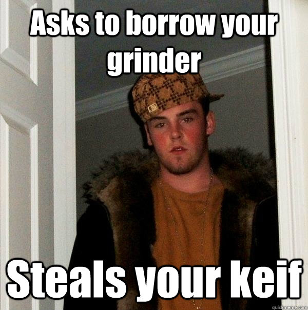 Asks to borrow your grinder Steals your keif  Scumbag Steve