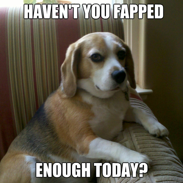 HAVEN'T YOU FAPPED ENOUGH TODAY?  judgmental dog