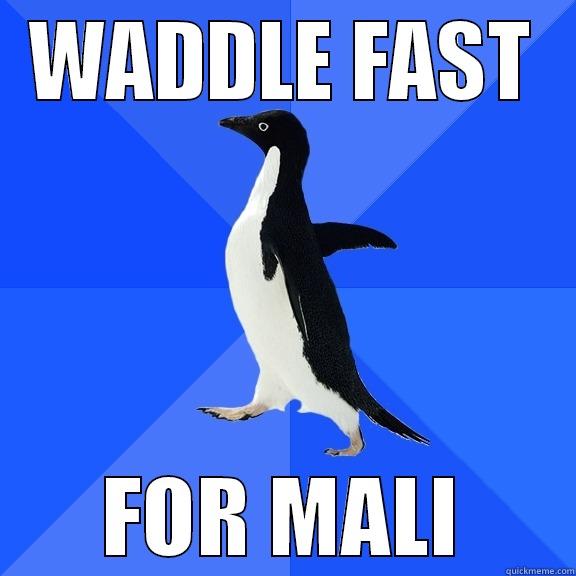 WADDLE FAST FOR MALI Socially Awkward Penguin
