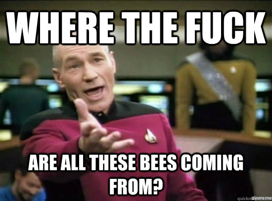 Where the fuck are all these bees coming from?  Annoyed Picard HD