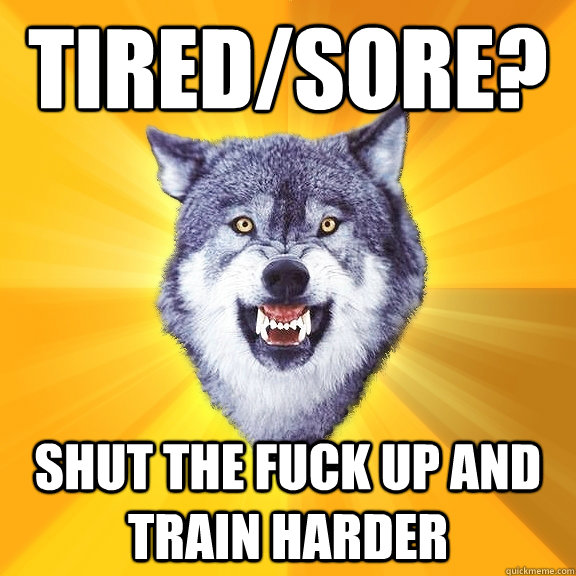 Tired/Sore? SHUT THE FUCK UP AND TRAIN HARDER  Courage Wolf