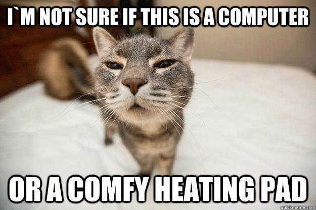 I`m not sure if this is a computer or a comfy heating pad - I`m not sure if this is a computer or a comfy heating pad  Misc