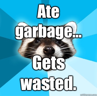 Ate garbage... Gets wasted.  Lame Pun Coon