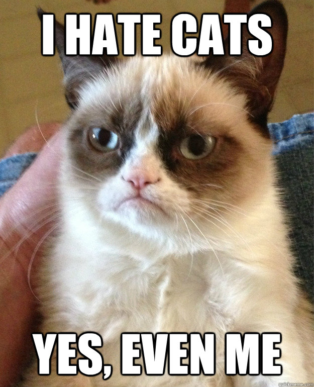 I hate cats Yes, even me - I hate cats Yes, even me  Grumpy Cat