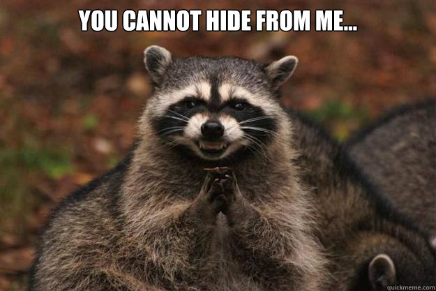 You cannot hide from me...    Evil Plotting Raccoon