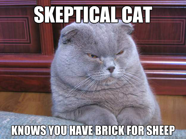 Skeptical cat Knows you have Brick for sheep  skeptical cat is skeptical