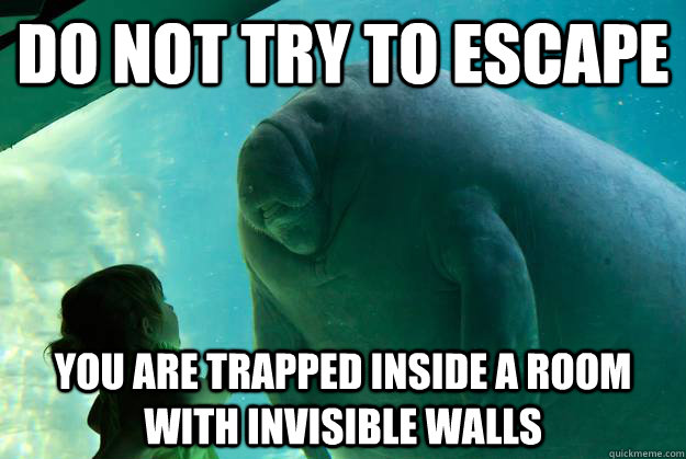 Do not try to escape you are trapped inside a room with invisible walls - Do not try to escape you are trapped inside a room with invisible walls  Overlord Manatee