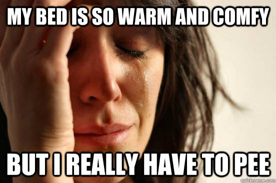 my bed is so warm and comfy but I really have to pee  First World Problems