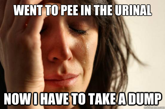 Went to pee in the Urinal now i have to take a dump  First World Problems