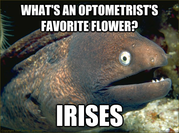 What's an optometrist's favorite flower? Irises  Bad Joke Eel