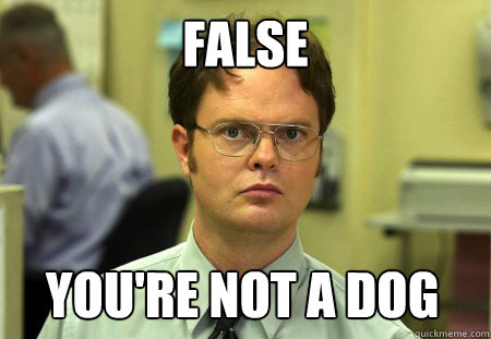 FALSE YOU'RE NOT A DOG  Dwight