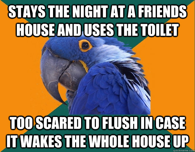 stays the night at a friends house and uses the toilet too scared to flush in case it wakes the whole house up  Paranoid Parrot