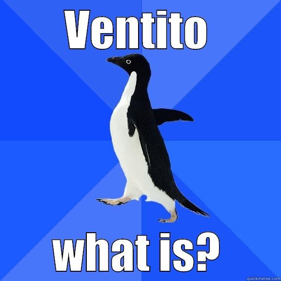 VENTITO WHAT IS? Socially Awkward Penguin