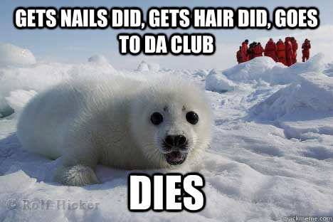 Gets nails did, gets hair did, goes to da club DIES  Clubbing Seal