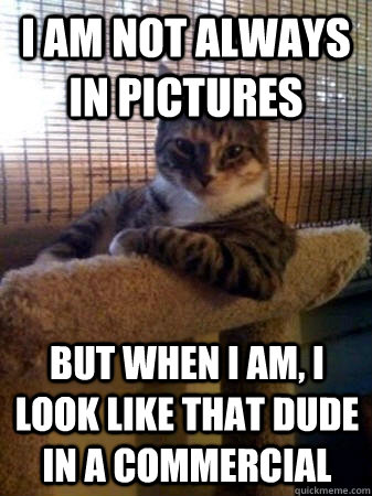 i am not always in pictures but when i am, i look like that dude in a commercial  The Most Interesting Cat in the World