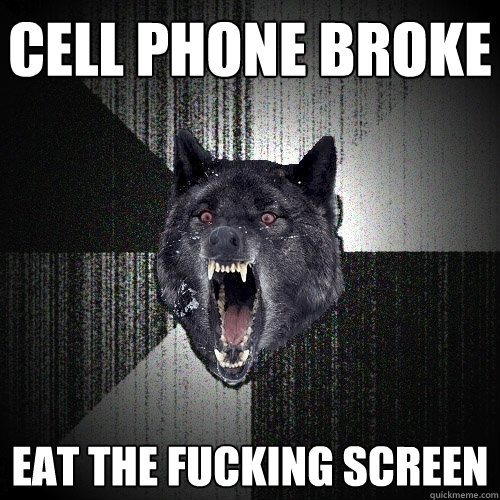 CELL PHONE BROKE EAT THE FUCKING SCREEN  Insanity Wolf