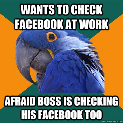 WANTS TO CHECK FACEBOOK AT WORK AFRAID BOSS IS CHECKING HIS FACEBOOK TOO  Paranoid Parrot