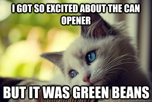 i got so excited about the can opener but it was green beans - i got so excited about the can opener but it was green beans  First World Cat Problems