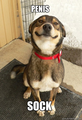 penis sock  Good Dog Greg