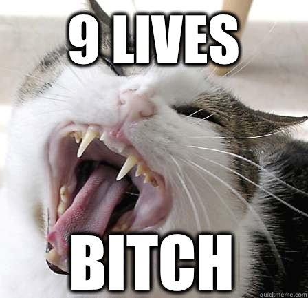9 Lives Bitch - 9 Lives Bitch  Misc