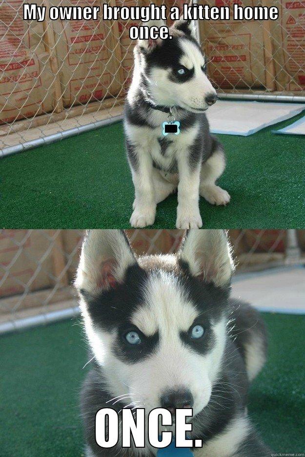 MY OWNER BROUGHT A KITTEN HOME ONCE. ONCE. Insanity puppy
