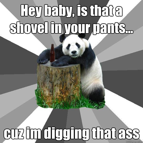 Hey baby, is that a shovel in your pants... cuz im digging that ass  Pickup-Line Panda