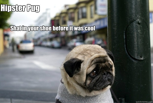 Hipster Pug Shat in your shoe before it was cool - Hipster Pug Shat in your shoe before it was cool  sad puglorin