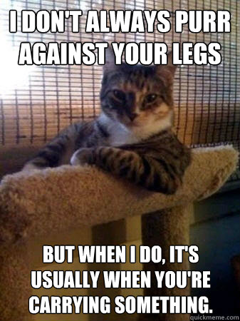 I don't always purr against your legs but when I do, it's usually when you're carrying something.  The Most Interesting Cat in the World