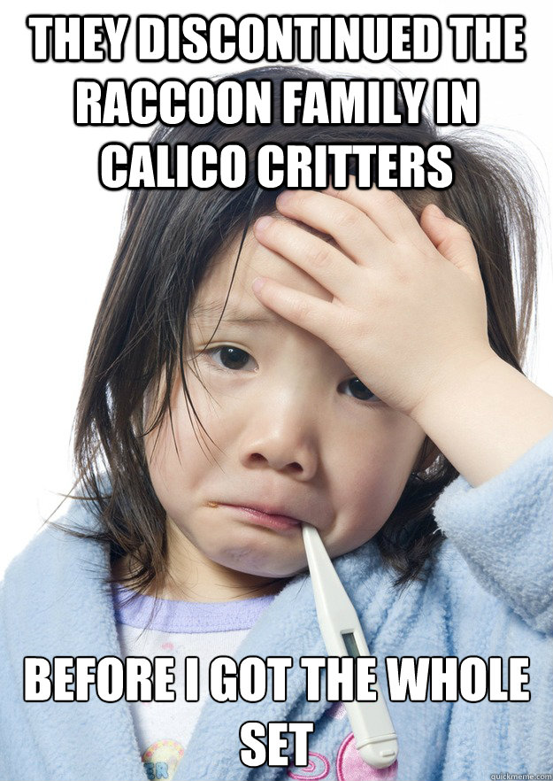 They discontinued the raccoon family in Calico Critters Before I got the whole set - They discontinued the raccoon family in Calico Critters Before I got the whole set  Why Not Asian Kid Problems