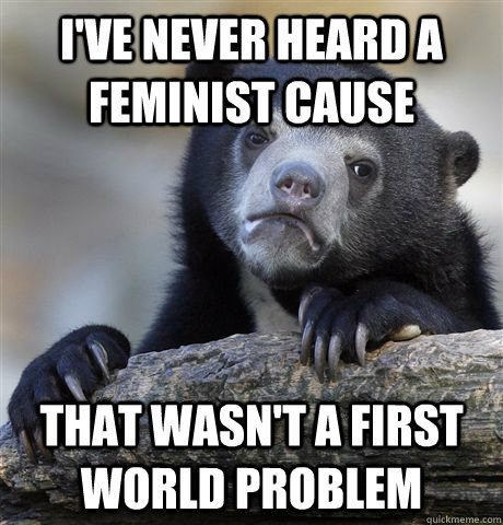 I've never heard a feminist cause that wasn't a first world problem  Confession Bear