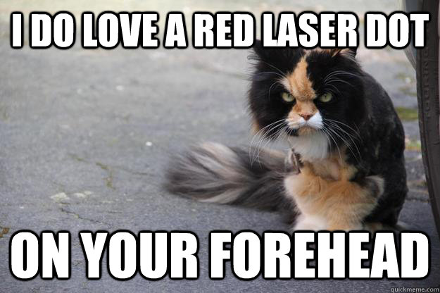 I do love a red laser dot on your forehead  Angry Cat